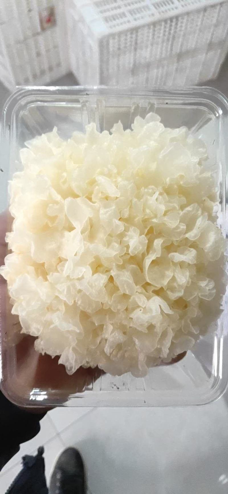 食用菌大全，商超平台看过来