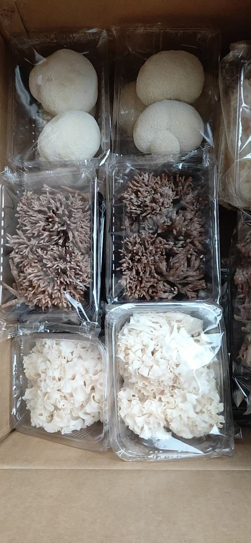 食用菌大全，商超平台看过来
