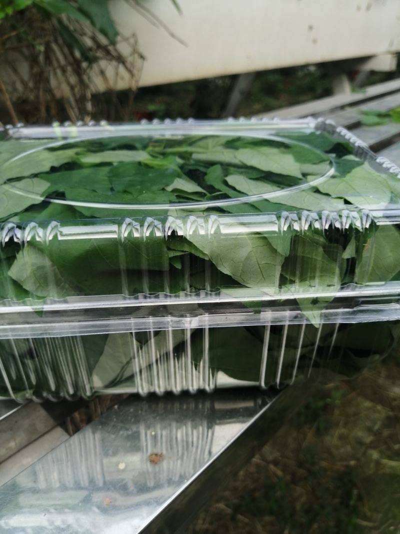 血通菜，贵妃菜，绿线叶