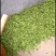 【优质青豌豆】豌豆荚饱满5~6cm，全国发货量大价优