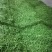 【优质青豌豆】豌豆荚饱满5~6cm，全国发货量大价优