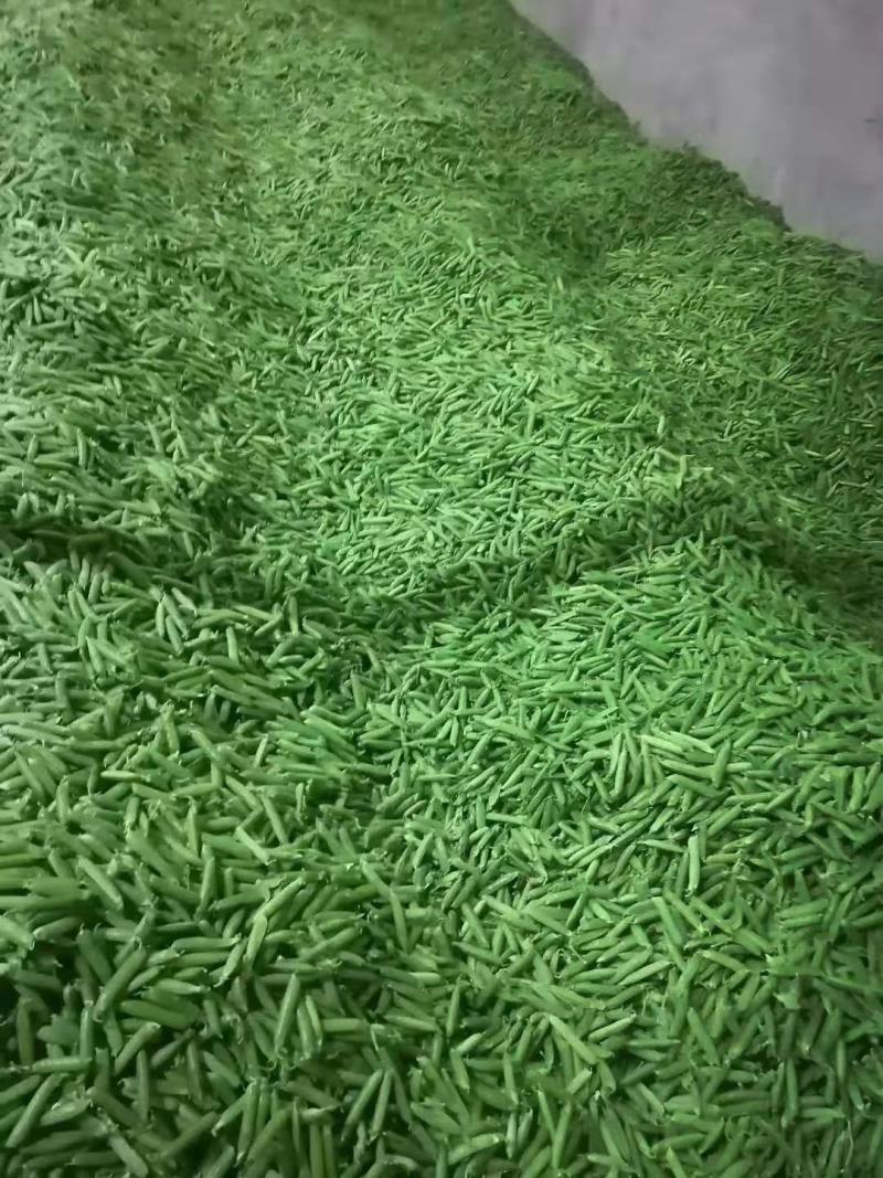【优质青豌豆】豌豆荚饱满5~6cm，全国发货量大价优