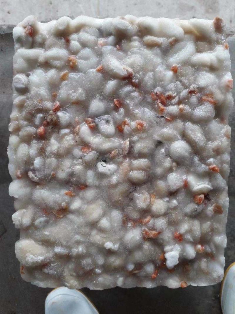 墨鱼差蛋原料，打丸做饼专用