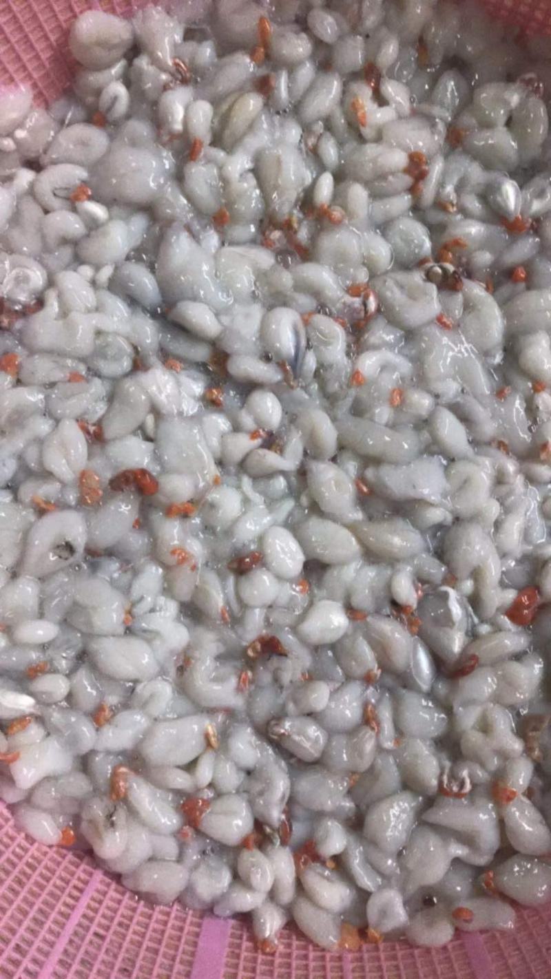 墨鱼差蛋原料，打丸做饼专用