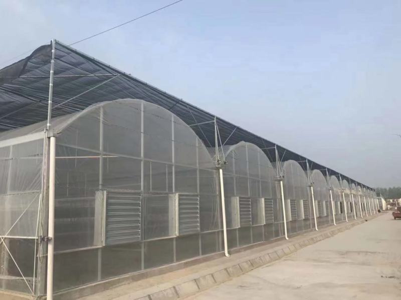 全套温室大棚钢管骨架家用种植蔬菜大棚配件养猪椭圆管养殖大