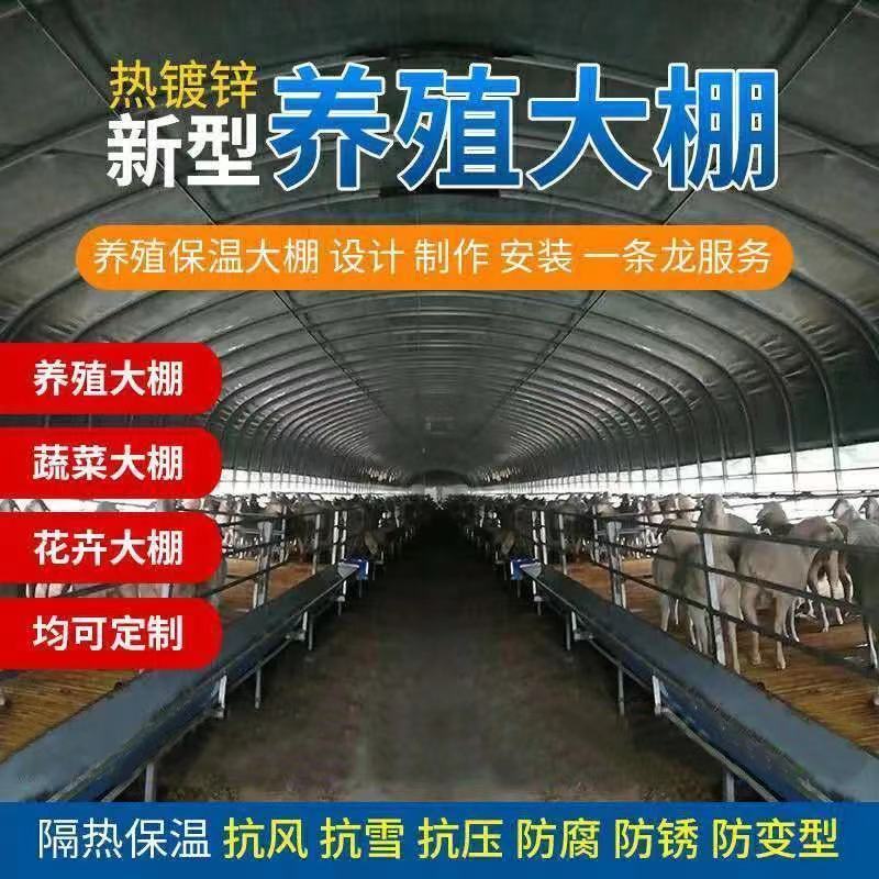 全套温室大棚钢管骨架家用种植蔬菜大棚配件养猪椭圆管养殖大