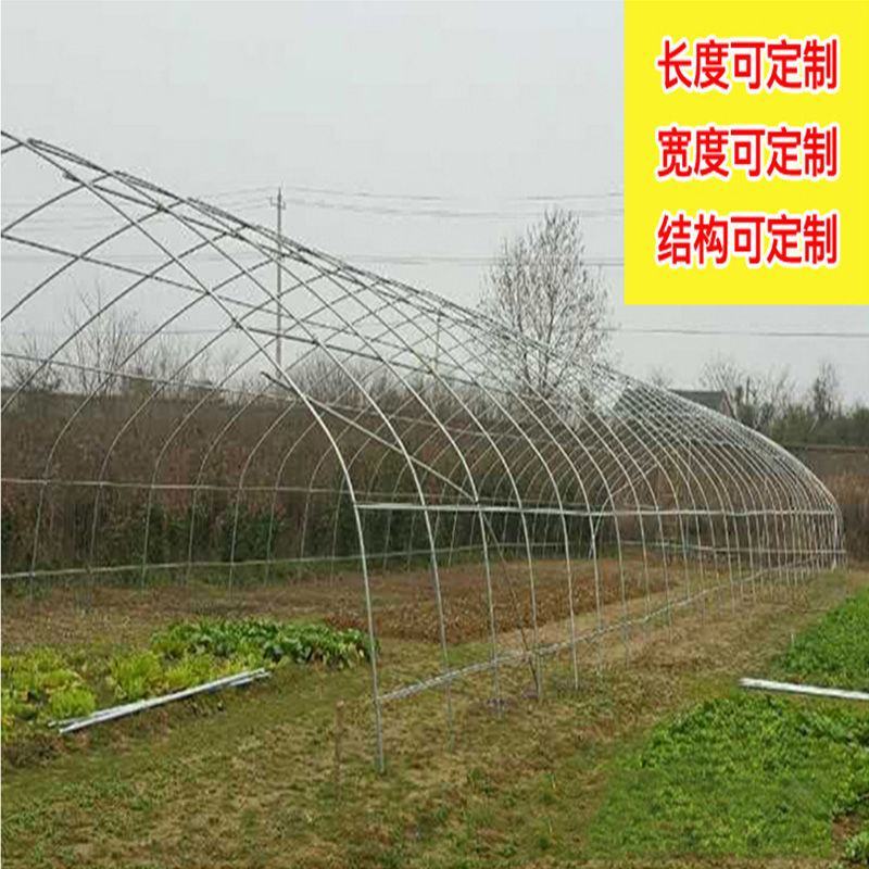 全套温室大棚钢管骨架家用种植蔬菜大棚配件养猪椭圆管养殖大
