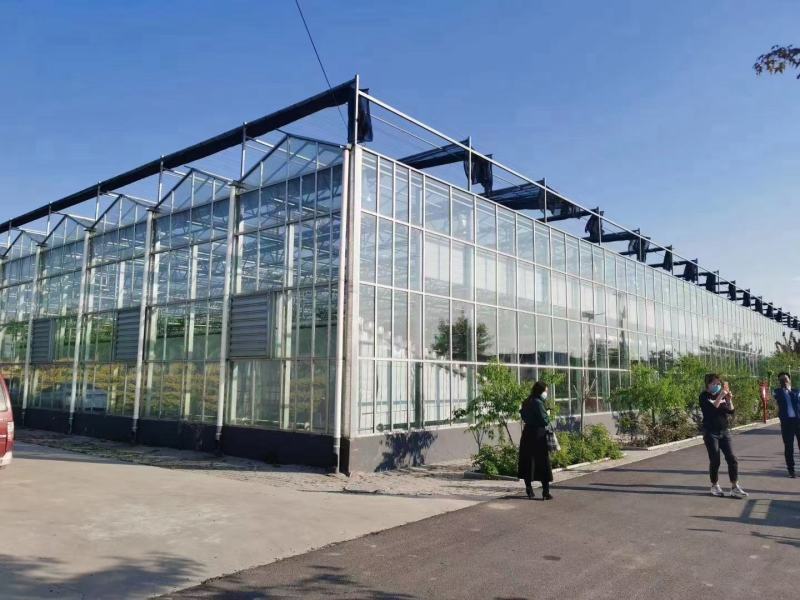 全套温室大棚钢管骨架家用种植蔬菜大棚配件养猪椭圆管养殖大