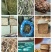 干草:花生秧、小麦秸秆、玉米秸秆、大蒜皮、红薯杆