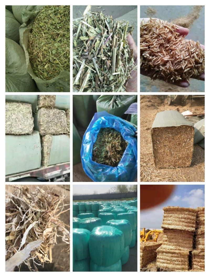 干草:花生秧、小麦秸秆、玉米秸秆、大蒜皮、红薯杆