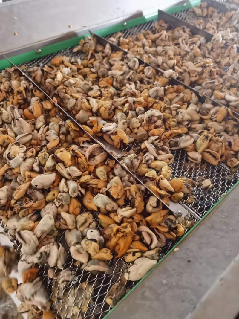 海鲜水产淡菜鲜活现剥冷冻去壳青口贝大海虹肉大贻贝纯肉