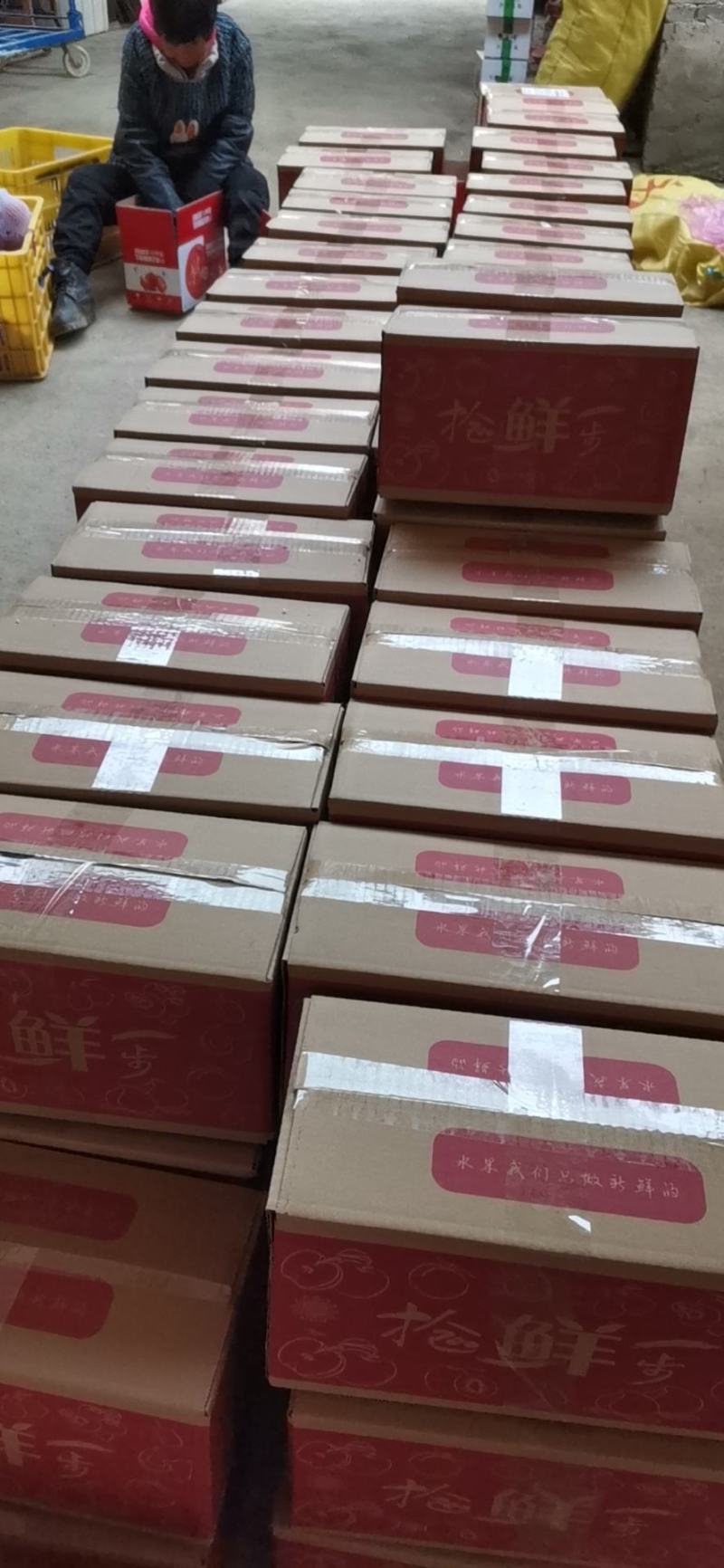 西红柿陕西泾阳，口感西红柿，普罗旺斯