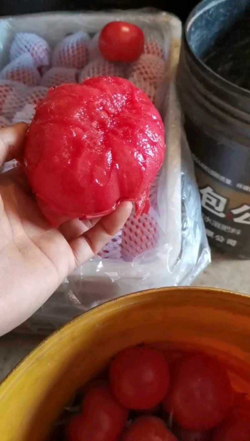 西红柿陕西泾阳，口感西红柿，普罗旺斯