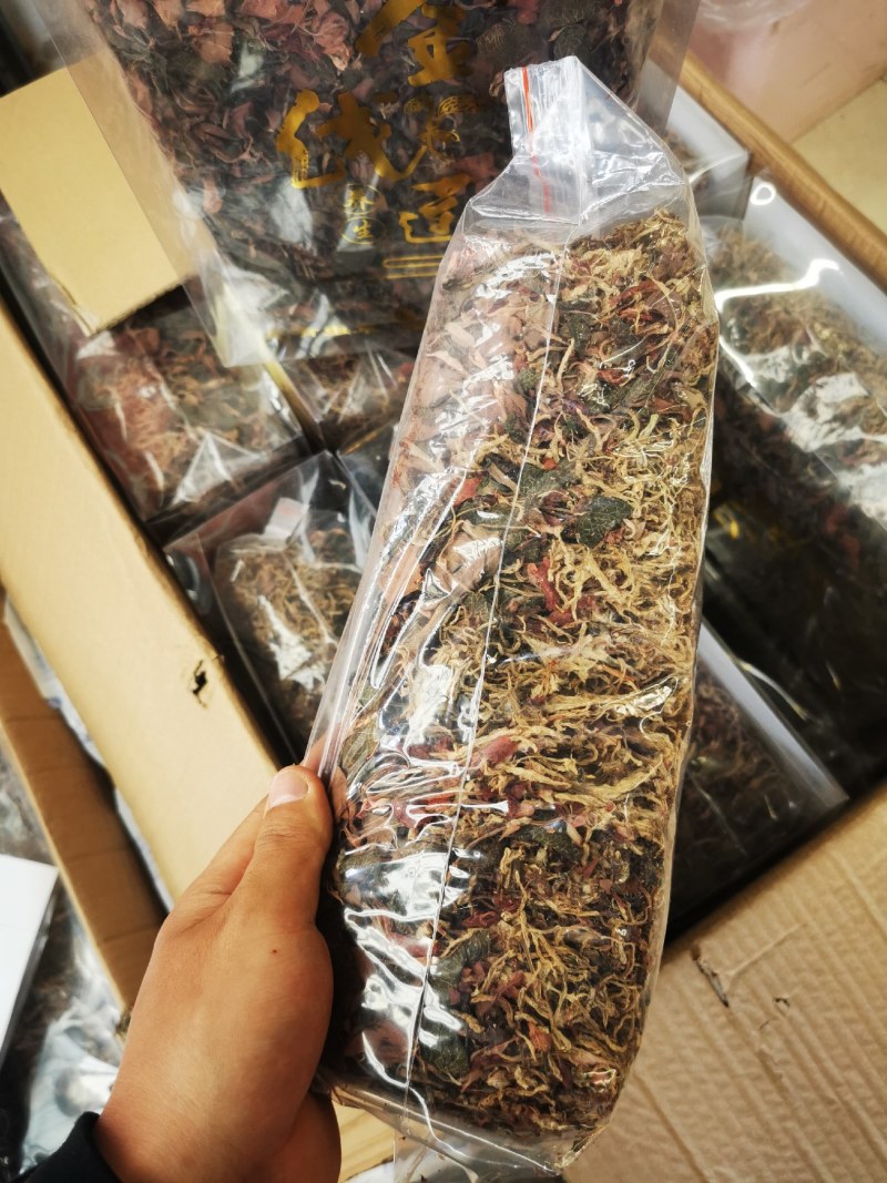 福建金线莲整株一手货源批发走量单价有优势。长期经营可信