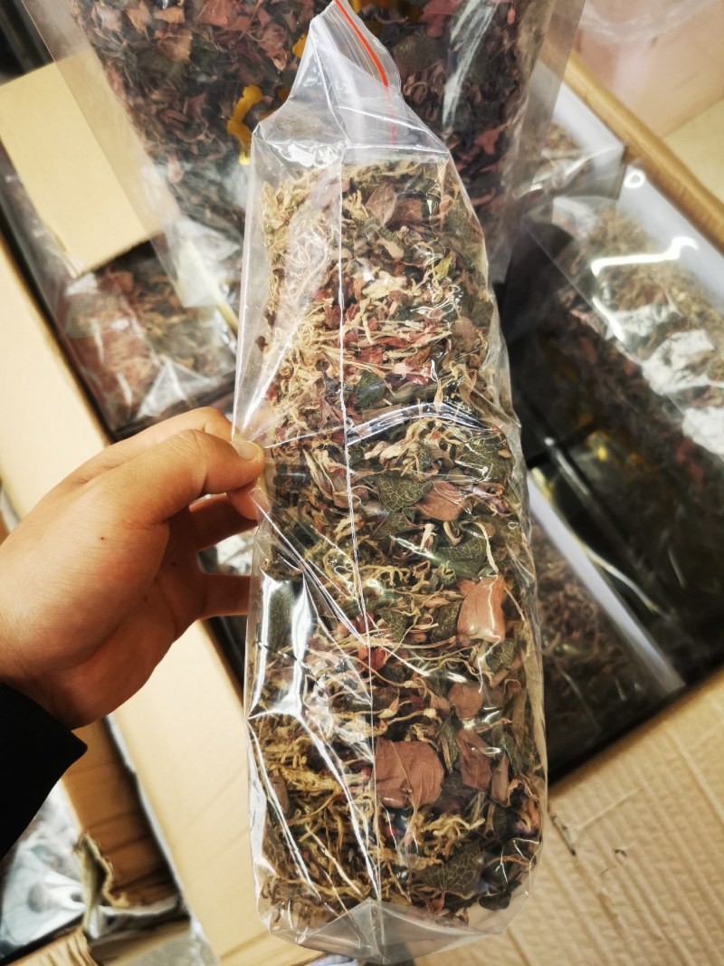 福建金线莲整株一手货源批发走量单价有优势。长期经营可信