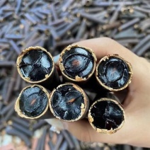 便秘果精选缅甸进口纯植物无添加原生态胶质好