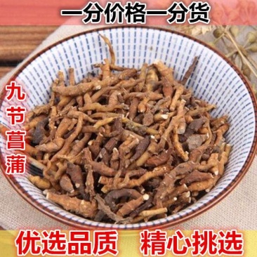 嘉煜九节菖蒲500g野生九节菖蒲节菖蒲非石菖
