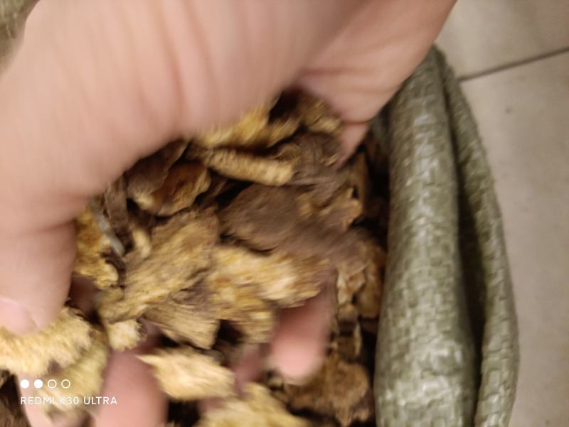 苍术药厂货实物拍摄数量有限卖完下架先到先得