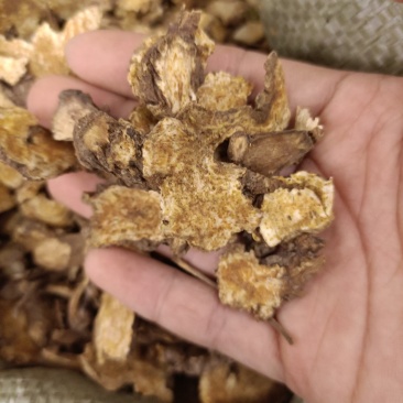 苍术药厂货实物拍摄数量有限卖完下架先到先得