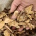 苍术药厂货实物拍摄数量有限卖完下架先到先得