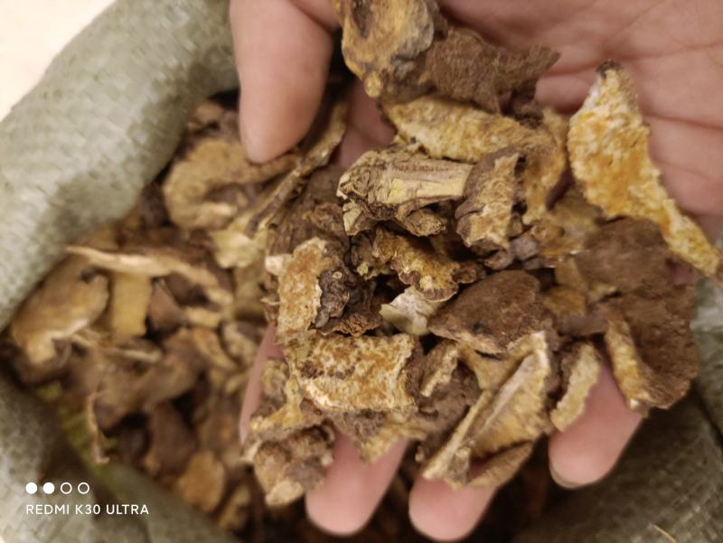 苍术药厂货实物拍摄数量有限卖完下架先到先得