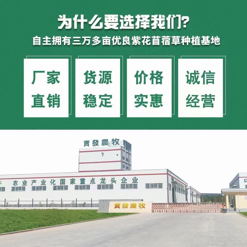 牛羊用全日粮配合饲料