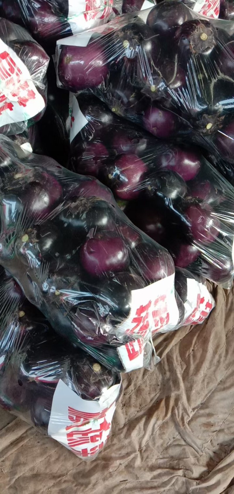 本地精品茄子，质量好量大欢迎采购，还有各种蔬菜