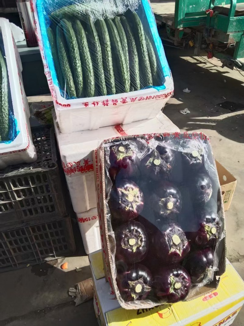 本地精品茄子，质量好量大欢迎采购，还有各种蔬菜