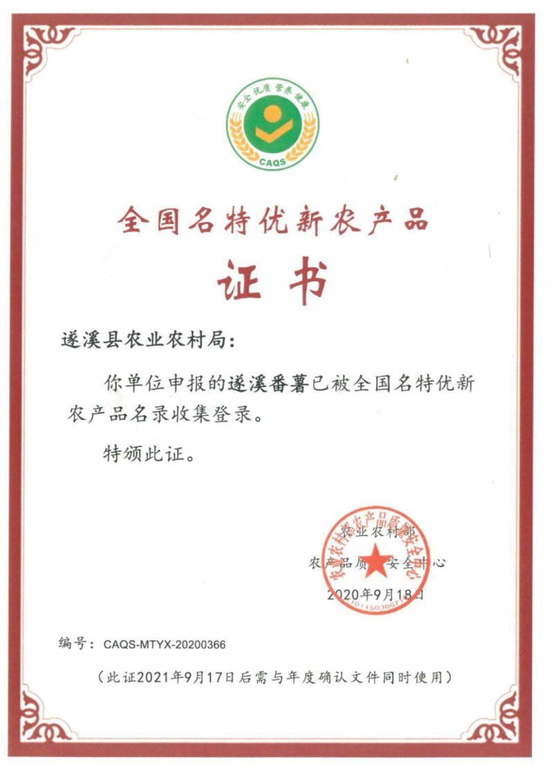 【全国名特优新农产品】遂溪番薯，西瓜红，超市社区