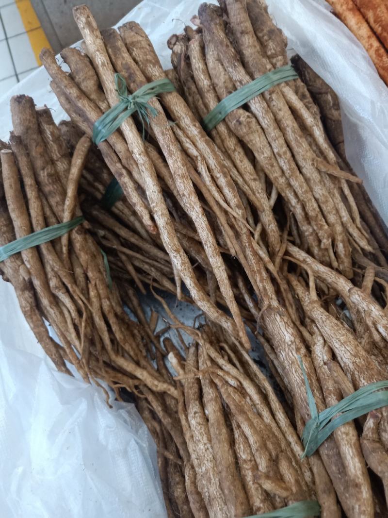 云南普洱野生鸡刺根_学名大蓟_只售鲜货_炖鸡炖排骨