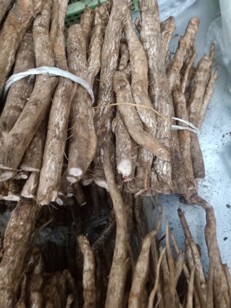 云南普洱野生鸡刺根_学名大蓟_只售鲜货_炖鸡炖排骨