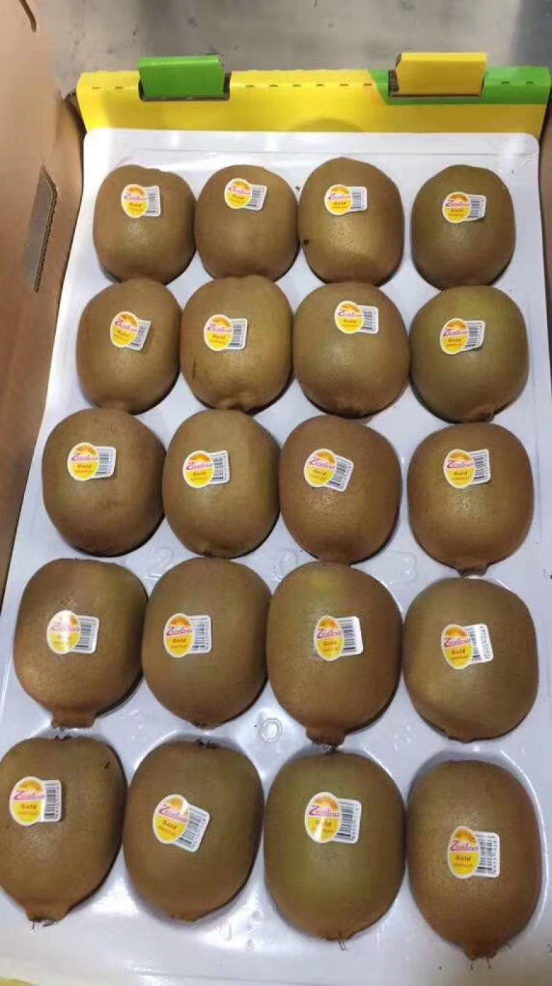 周至海娃得猕猴桃🥝直销