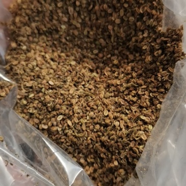 求购一手货源大量收购