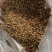 求购一手货源大量收购