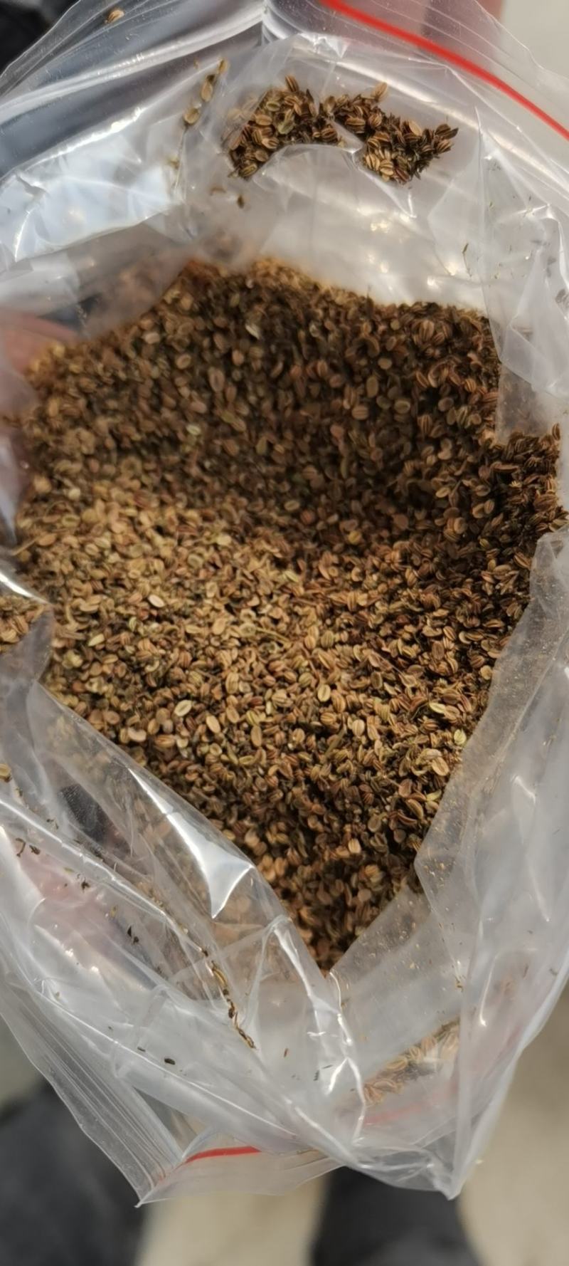 求购一手货源大量收购