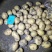 小薯123两，种类齐全，黄皮黄心，可以干洗,尤金，兴佳…