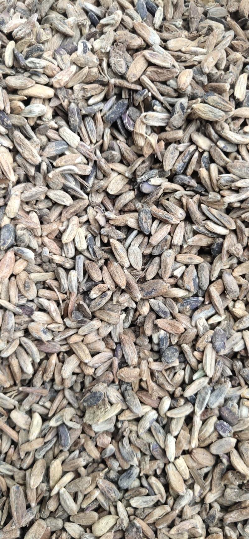 白术子:根茎一年或两年作物，用图广效益好
