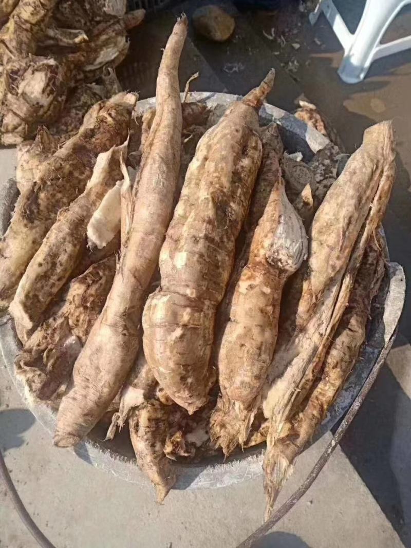 葛根粉，产地直销价格便宜，长期都有现货，需要老板联系！