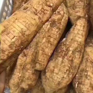 葛根粉，产地直销价格便宜，长期都有现货，需要老板联系！