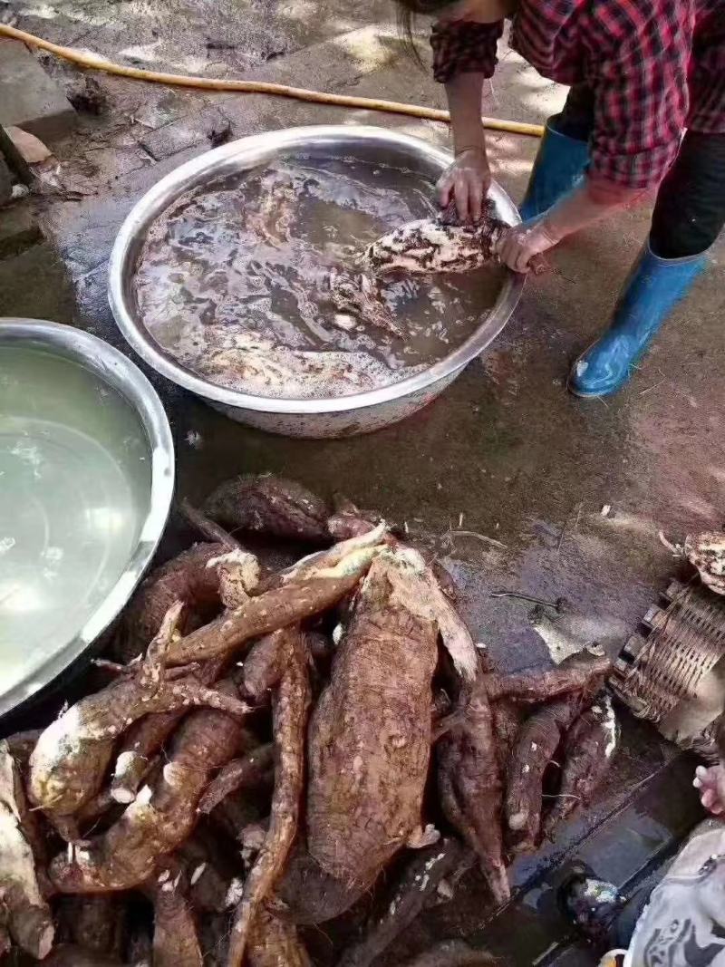 葛根粉，产地直销价格便宜，长期都有现货，需要老板联系！