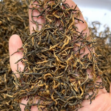 金骏眉红茶金骏眉茶叶批发货源金骏眉散装批发武夷产