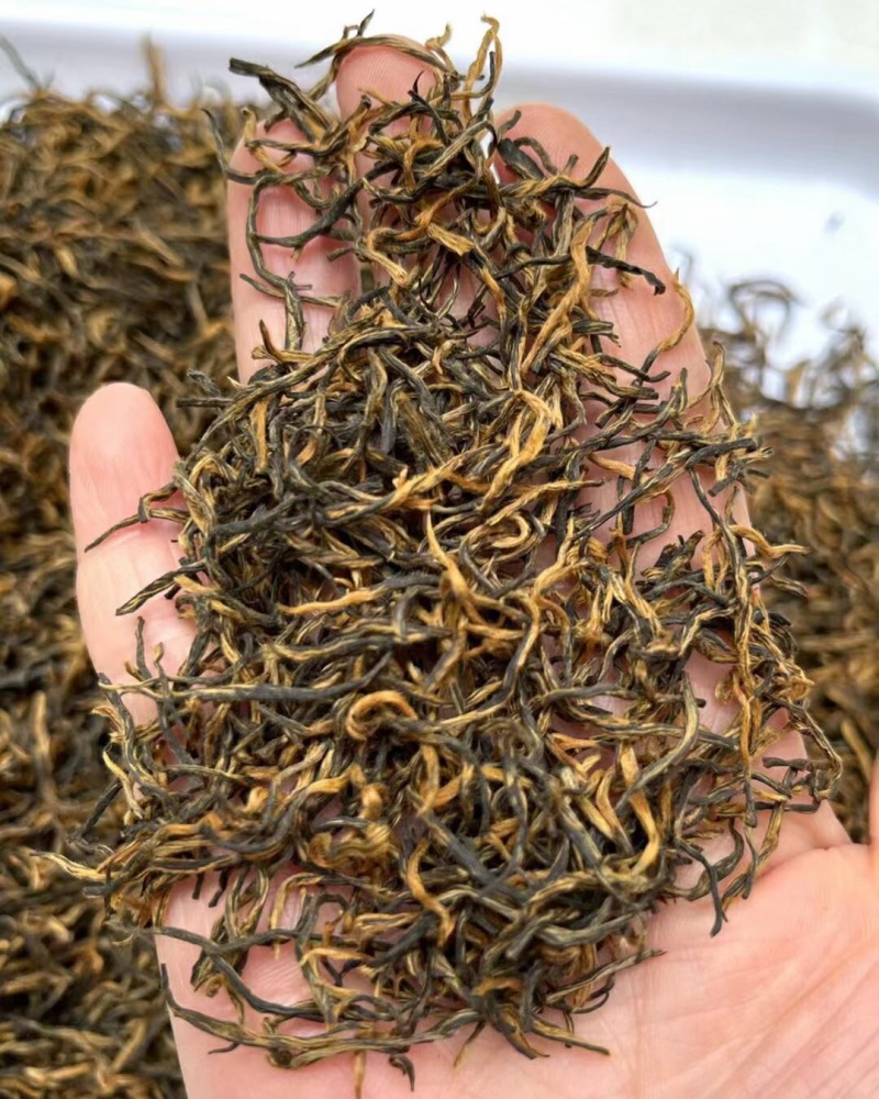 金骏眉红茶金骏眉茶叶批发货源金骏眉散装批发武夷产