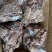 熟羊肉、精修去皮外蒙熟羊肉