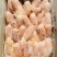 鸡胸鸡肉一件24斤去皮去油
