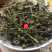 云南野生中药材青叶胆青叶丹走胆药500g包邮