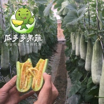 羊角蜜甜瓜一件代发实力代办对接各大电商平台