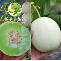 冰清玉菇甜瓜玉姑甜瓜冰激凌蜜瓜对接电商一件代发