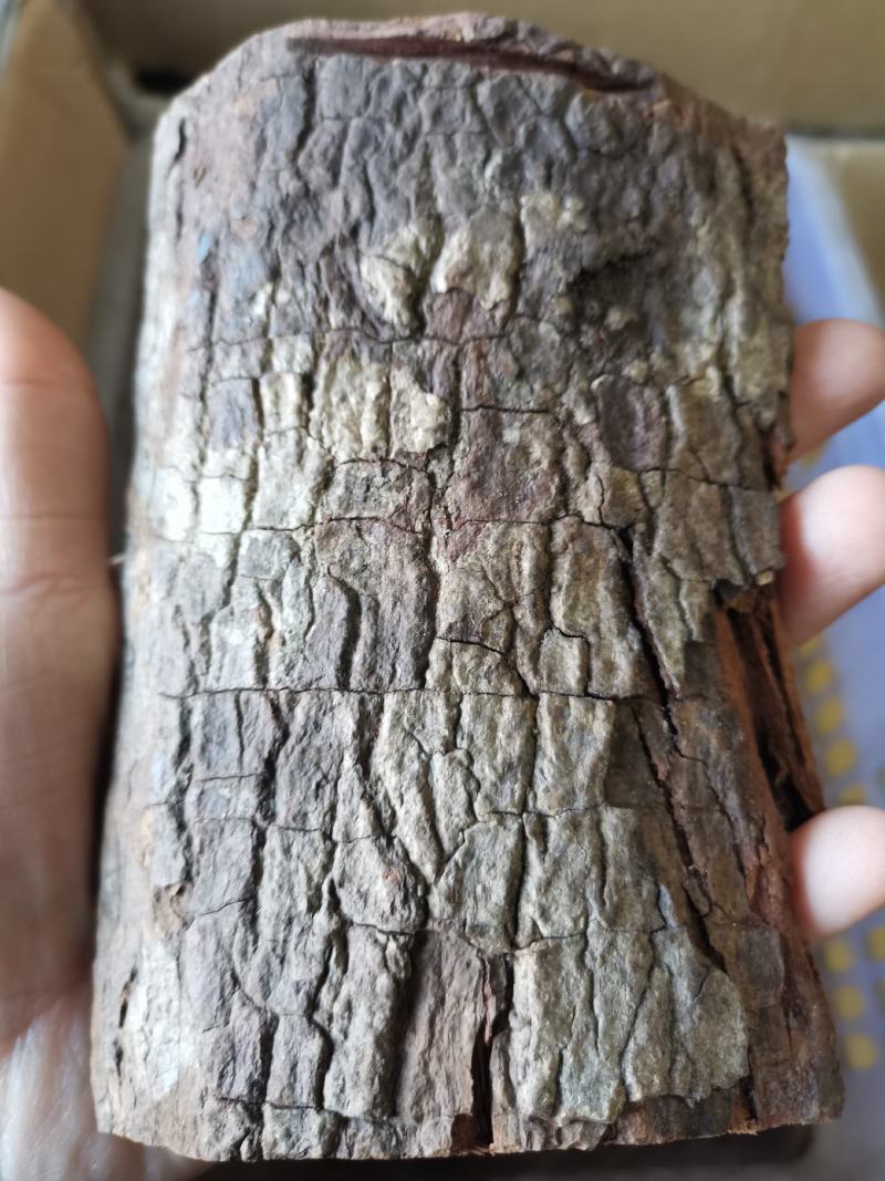 卡宾达树皮无硫干货野生滋补泡水一斤包邮