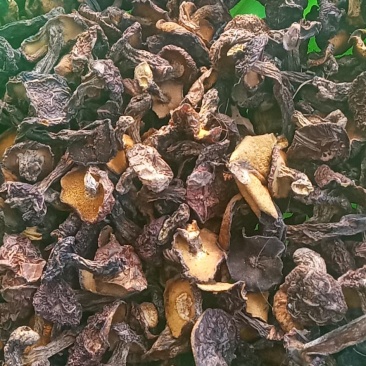 各种蘑菇价格实惠，好吃不贵