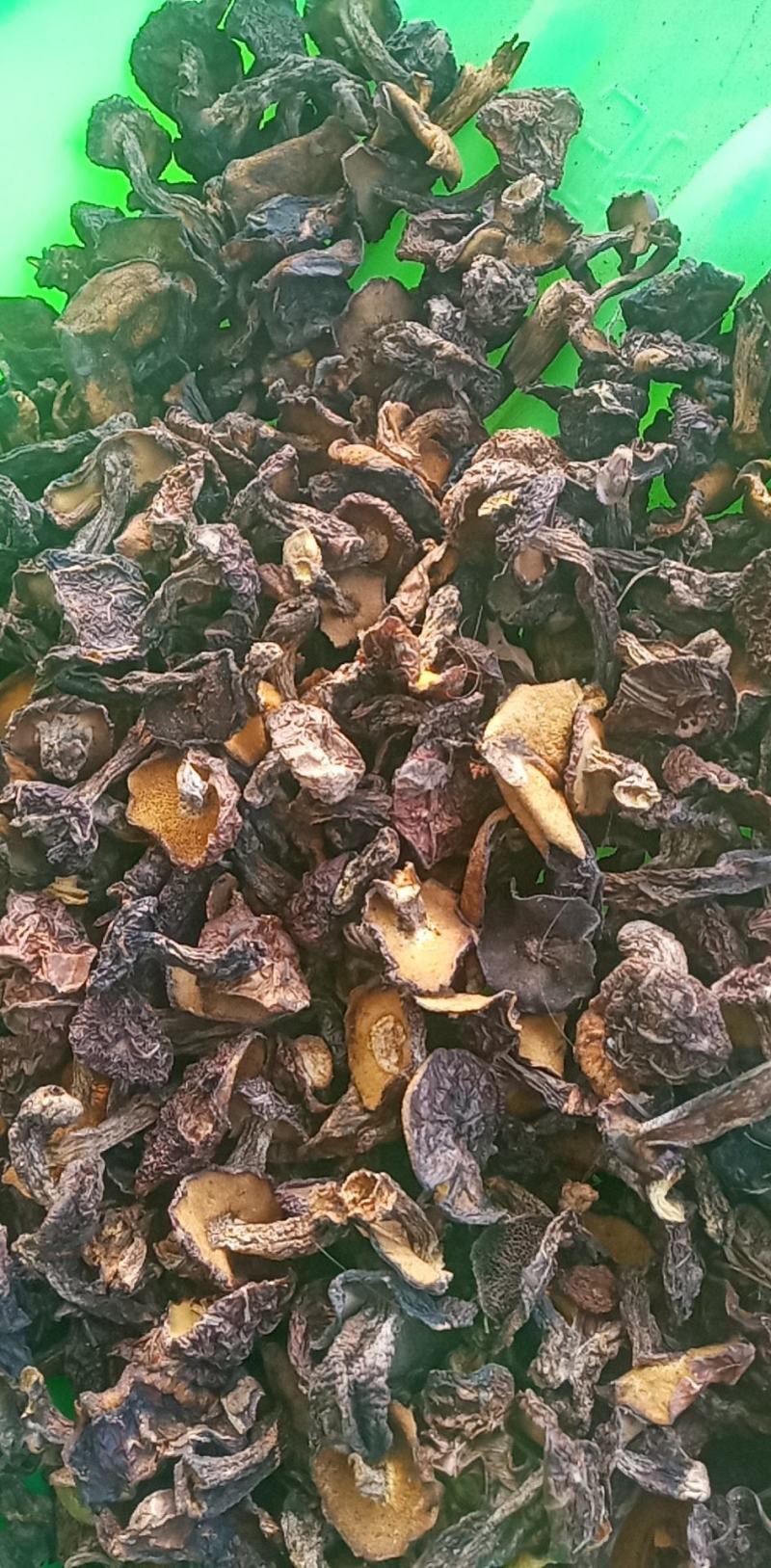 各种蘑菇价格实惠，好吃不贵